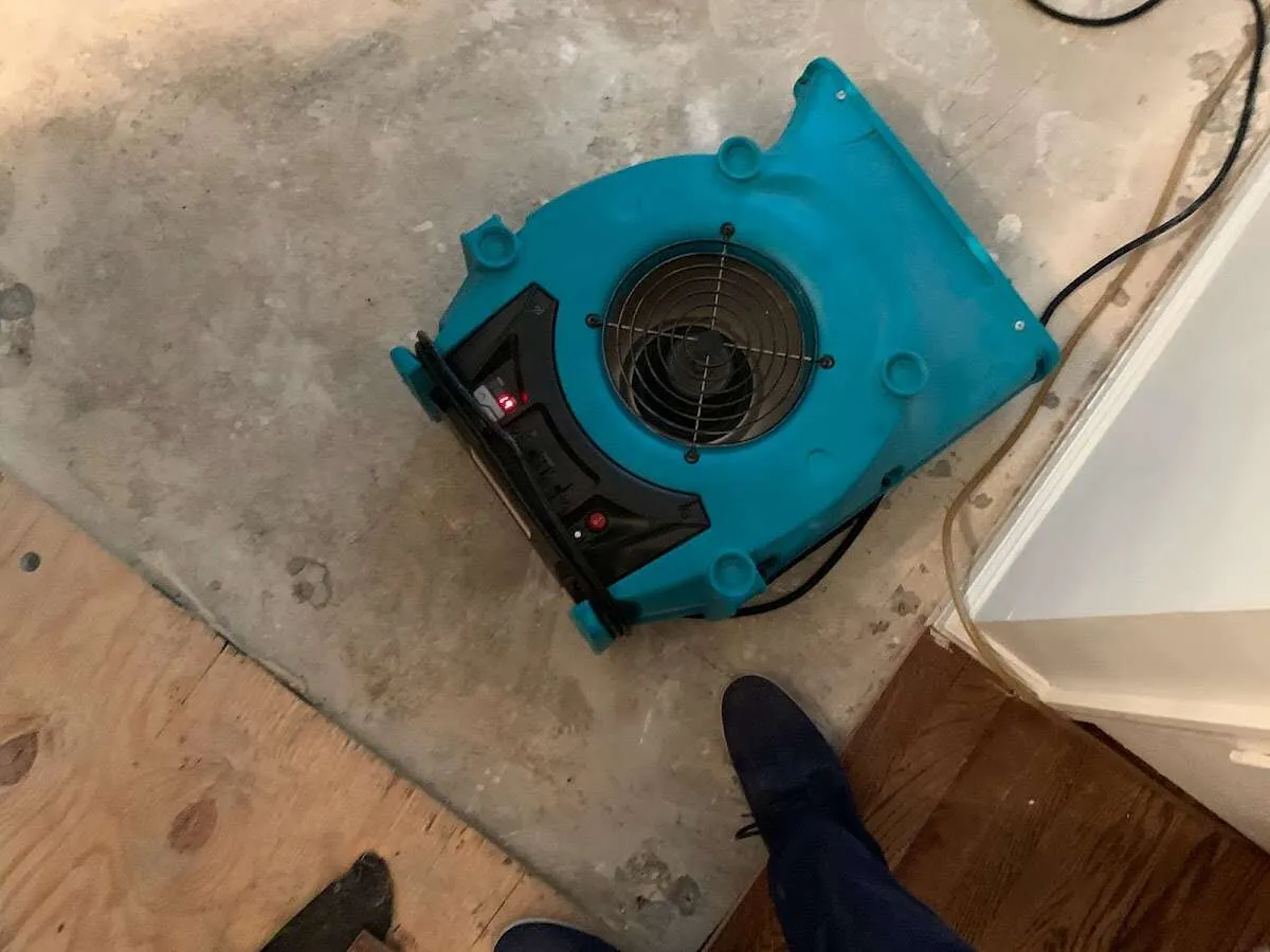 Air mover drying subfloor during Leak Detection & Repair in Newberg